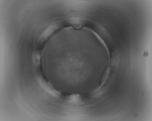 X0000112860124200909111518