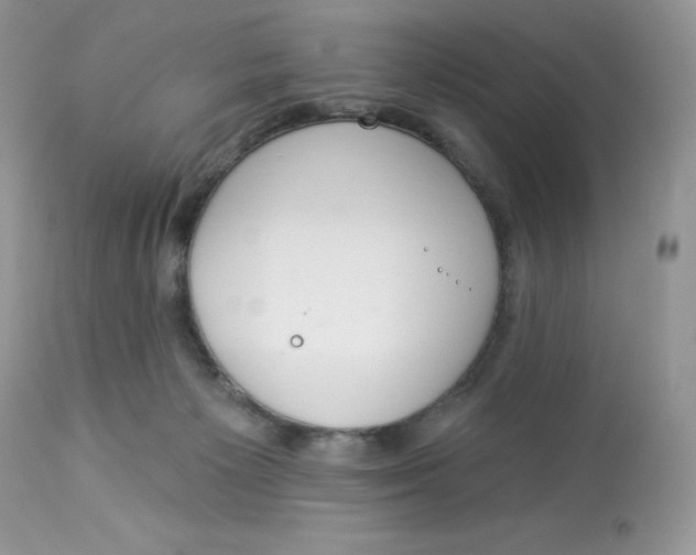 X0000112860125200909111518