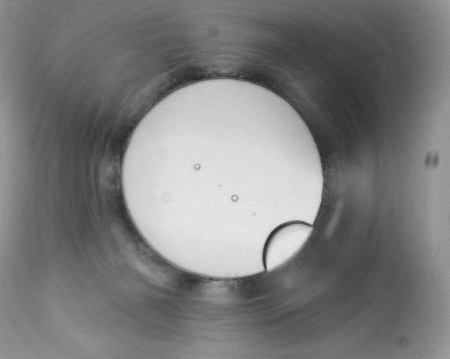 X0000112860126200909111518