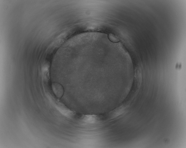 X0000112860127200909111518