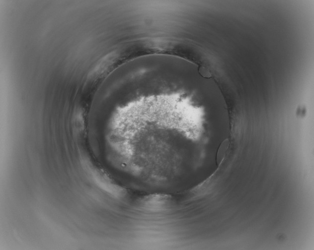 X0000112860128200909111518