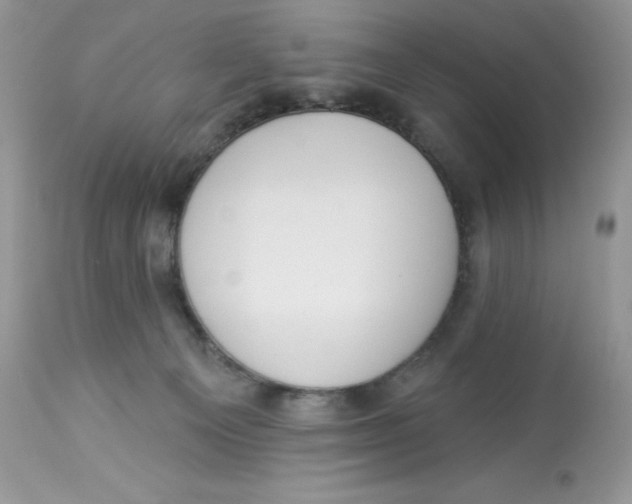 X0000112860129200909111518