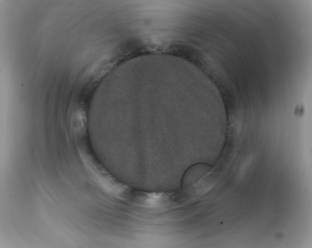 X0000112860130200909111518