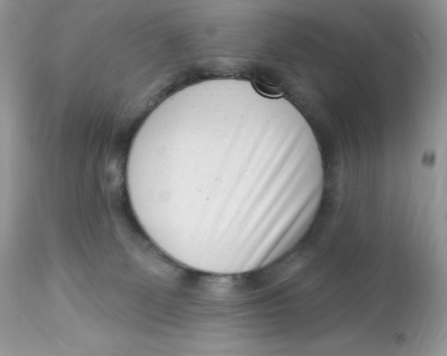 X0000112860131200909111518