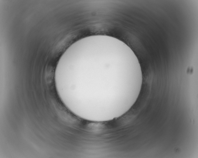 X0000112860133200909111518