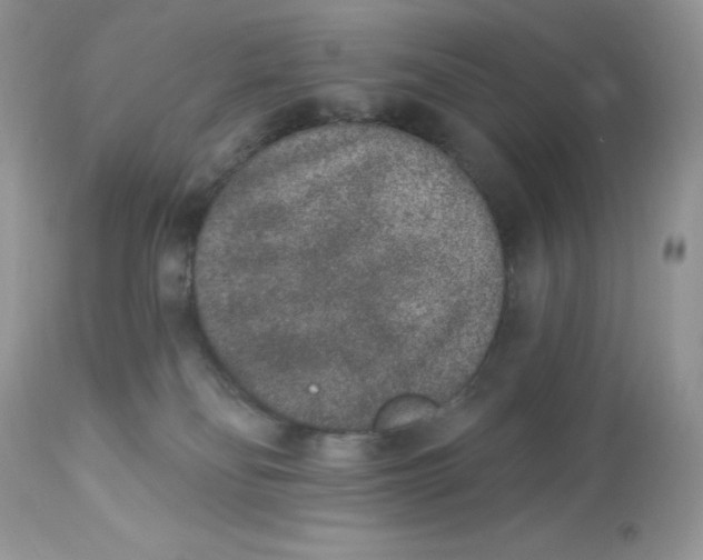 X0000112860134200909111518