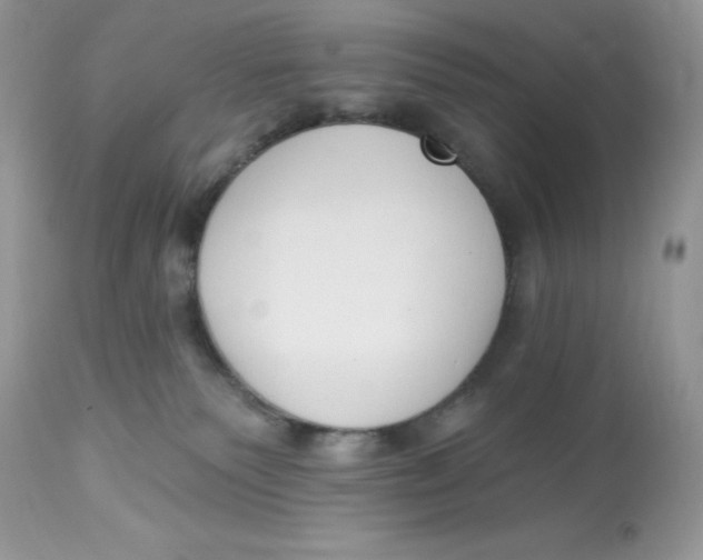 X0000112860135200909111518