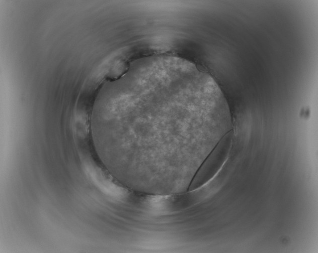 X0000112860136200909111518