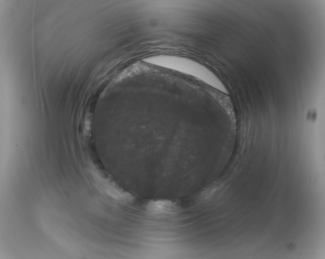 X0000112860137200909111518