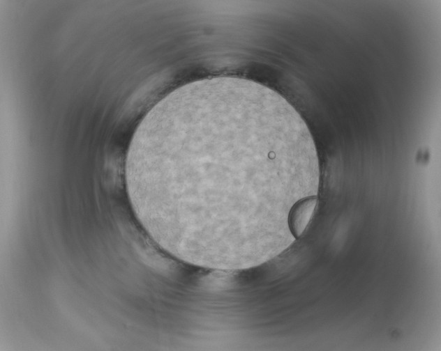 X0000112860138200909111518