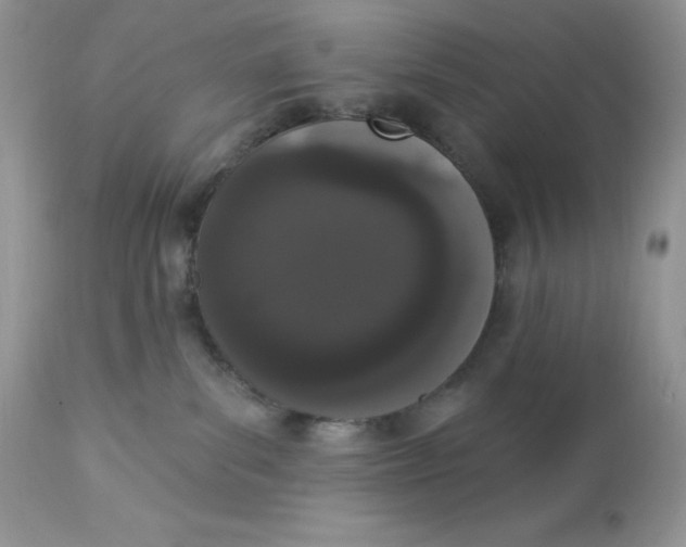 X0000112860139200909111518