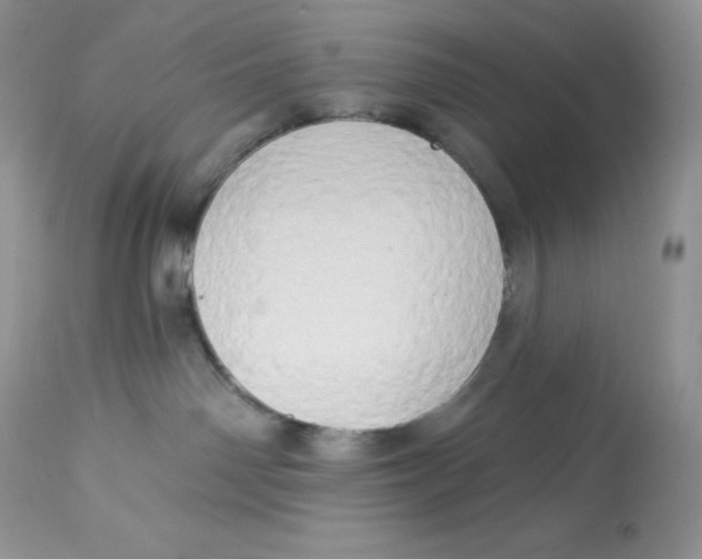 X0000112860142200909111518