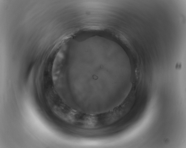 X0000112860143200909111518