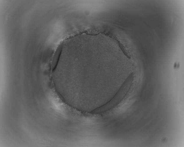 X0000112860144200909111518