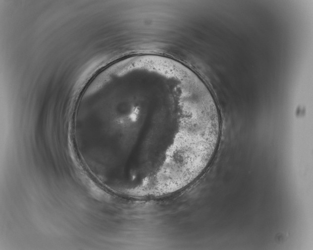 X0000112860145200909111517