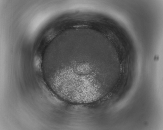 X0000112860146200909111517