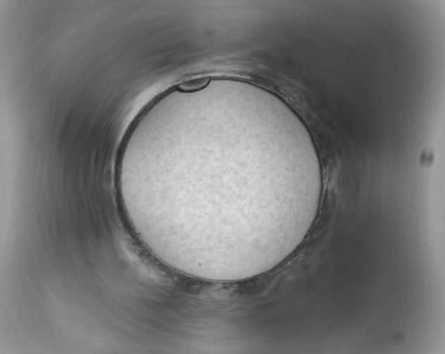 X0000112860148200909111517