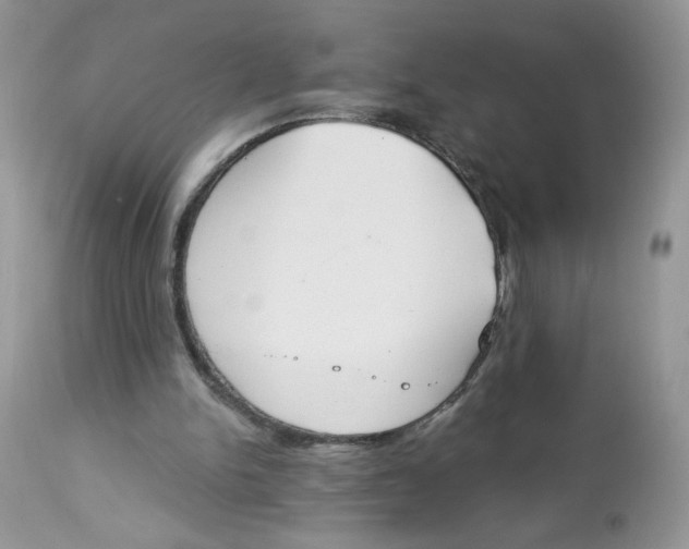 X0000112860150200909111517