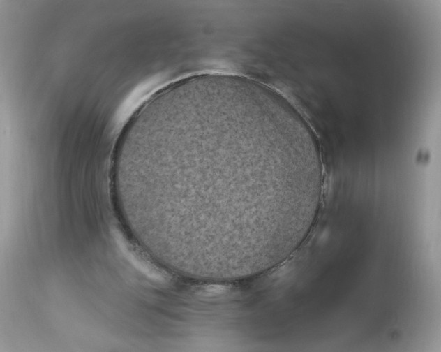 X0000112860151200909111517