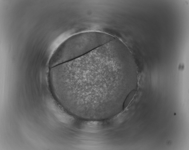 X0000112860152200909111517