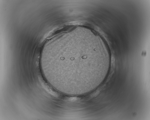 X0000112860153200909111517