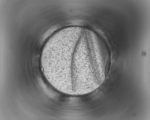 X0000112860154200909111517