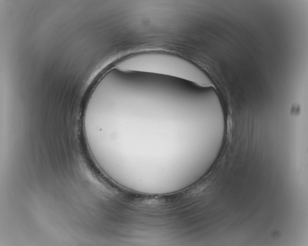 X0000112860156200909111517