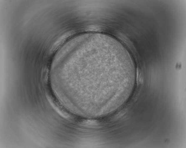 X0000112860157200909111517