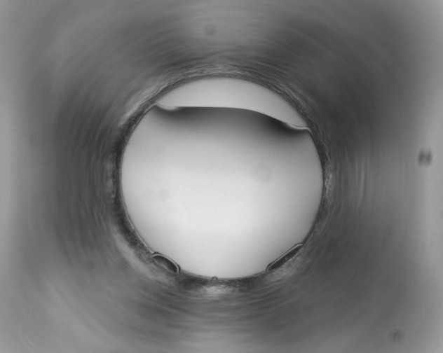 X0000112860158200909111517