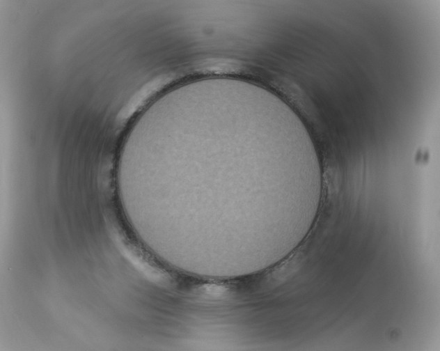 X0000112860159200909111517