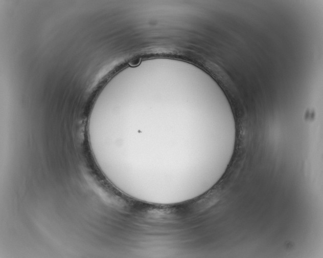 X0000112860160200909111517