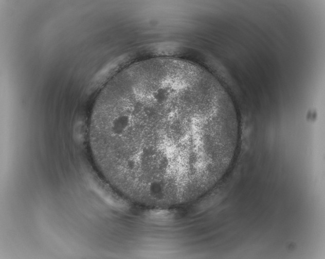 X0000112860161200909111517