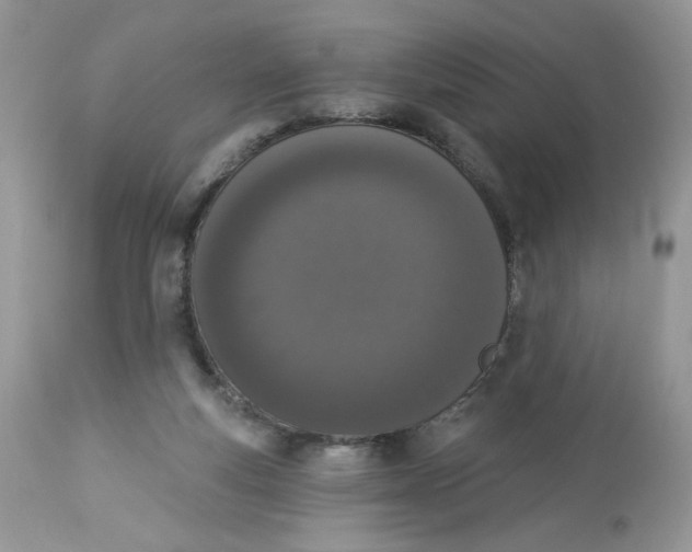 X0000112860163200909111517