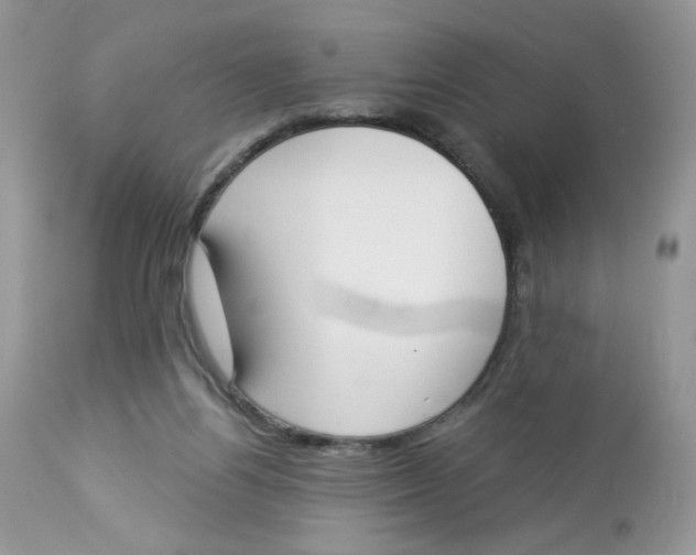 X0000112860164200909111517