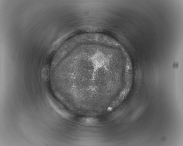 X0000112860165200909111517