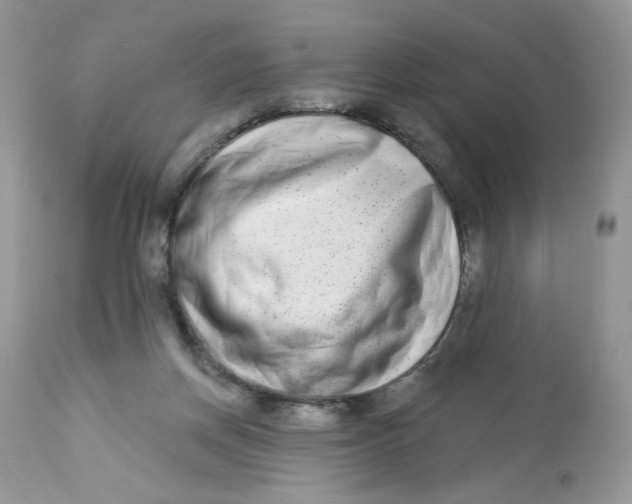 X0000112860166200909111517