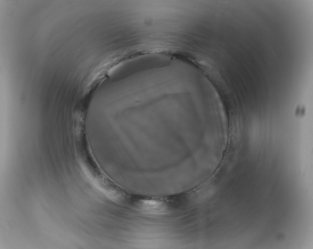 X0000112860167200909111517