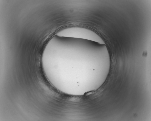 X0000112860168200909111517