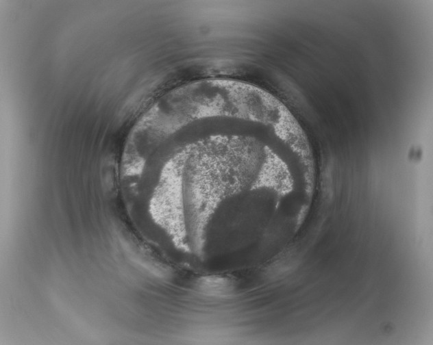 X0000112860169200909111517