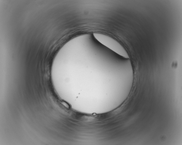 X0000112860170200909111517