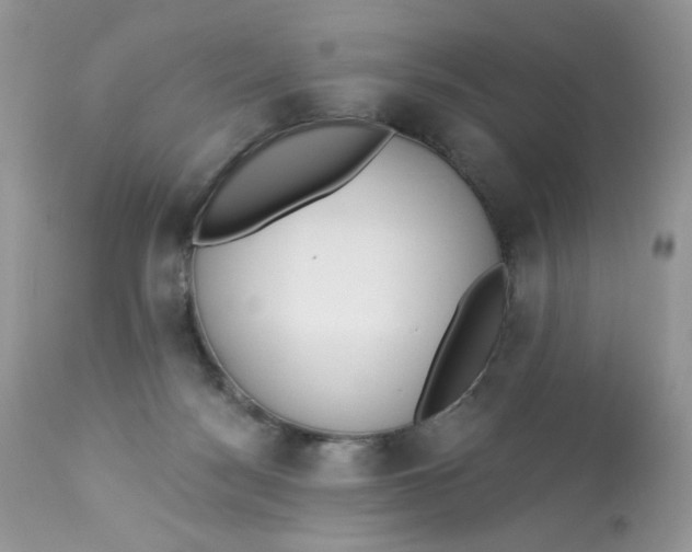 X0000112860172200909111517