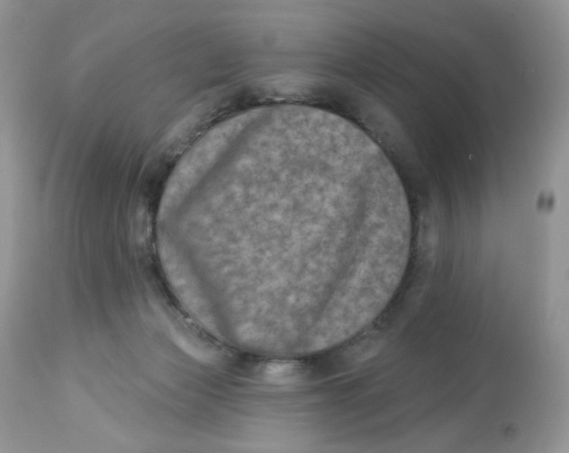 X0000112860173200909111517