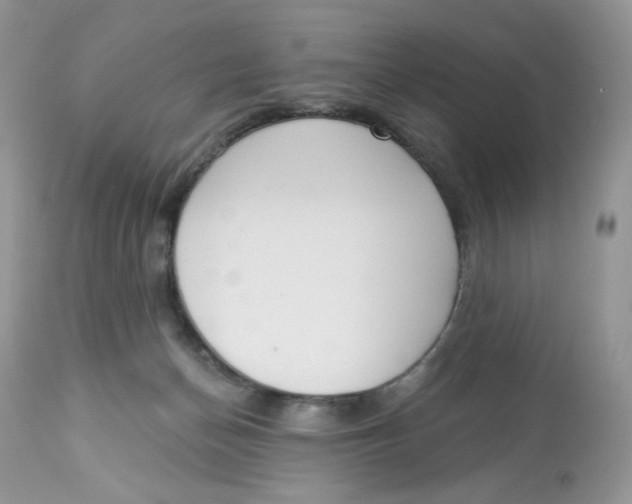 X0000112860174200909111517