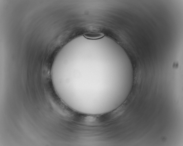 X0000112860176200909111517