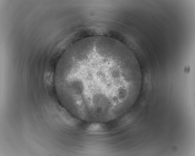 X0000112860177200909111517