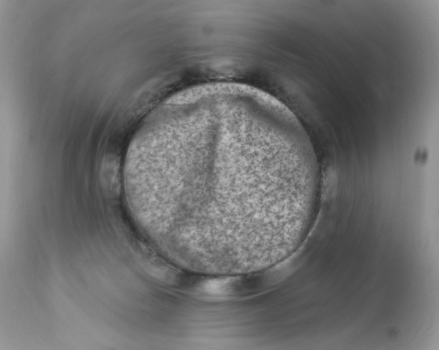 X0000112860178200909111517