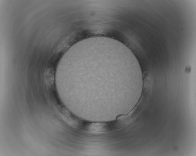 X0000112860179200909111517