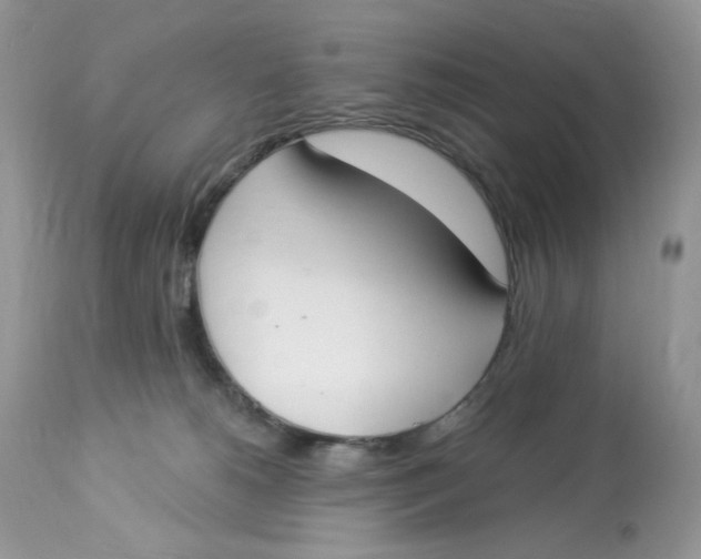 X0000112860180200909111517