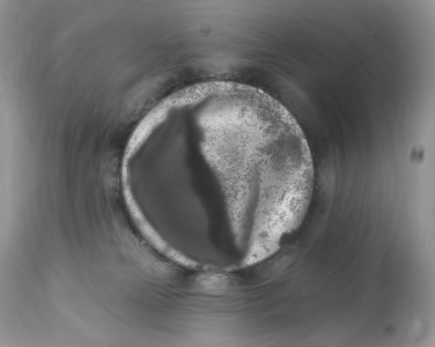 X0000112860181200909111518