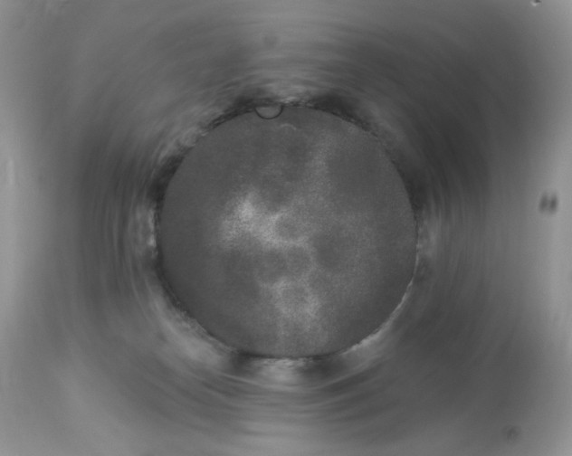 X0000112860182200909111518